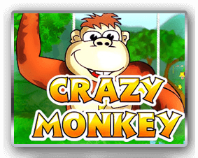 crazy monkey